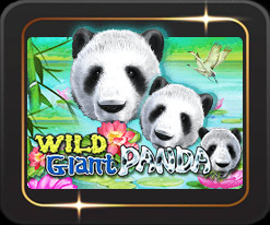 รีวิวเกม Wild Giant Panda