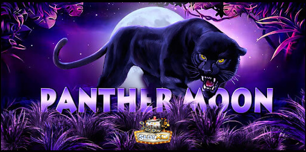 เกม Panther Moon